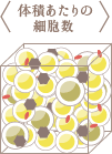 体積あたりの細胞数