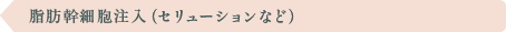 脂肪幹細胞注入（セリューションなど）