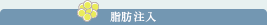 脂肪注入