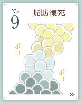 9位 石灰化