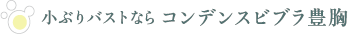 小ぶりバストならコンデンスビブラ豊胸