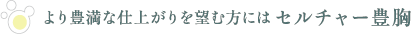より豊満な仕上がりを望む方にはセルチャー豊胸